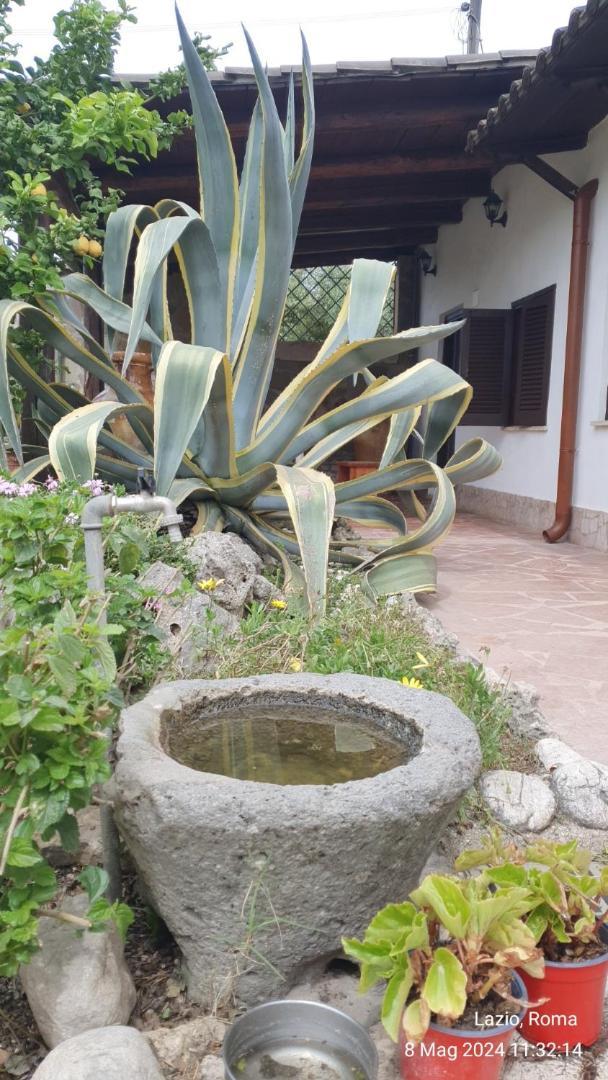 Casetta Delle Fiabe روما المظهر الخارجي الصورة