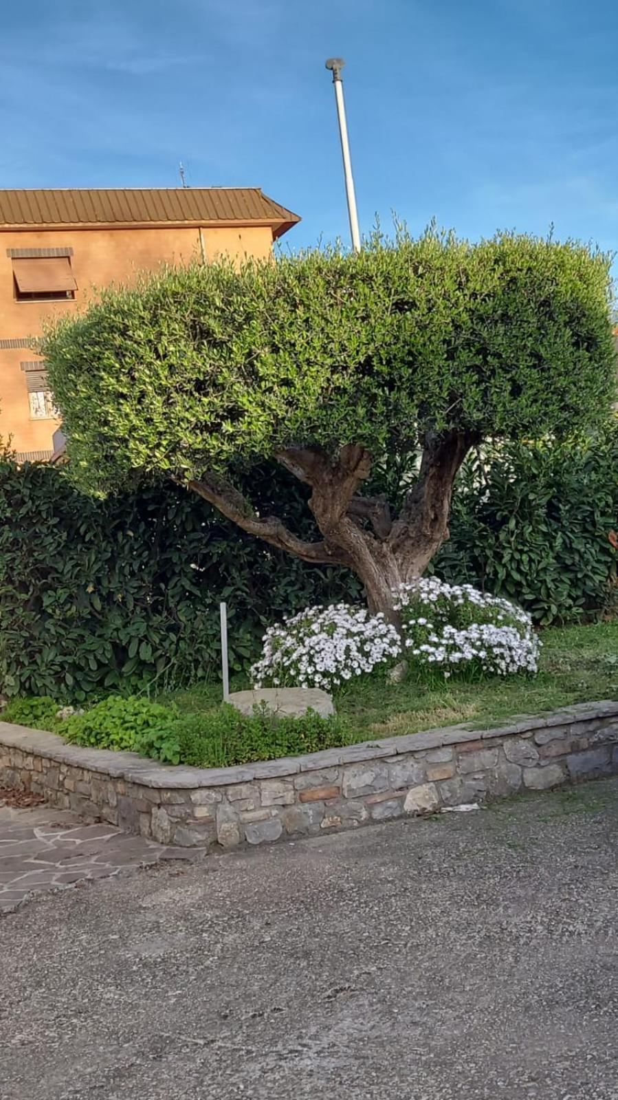 Casetta Delle Fiabe روما المظهر الخارجي الصورة